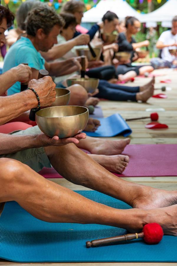 فندق Sanskriti Scionzier المظهر الخارجي الصورة